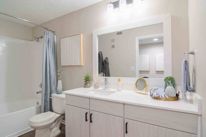 Newly Renovated Bathroom